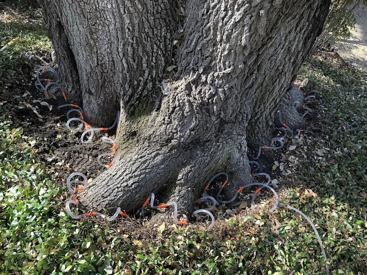 Detailed Shrub and Hedge Trimming job site in Knapp